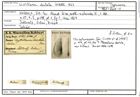 Karteikarte zum Syntyp von Cristellaria dentata Karrer, 1867
